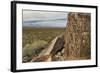 New Mexico, Three Rivers Petroglyphs National Historic Site. Petroglyphs on Boulder-Jaynes Gallery-Framed Photographic Print