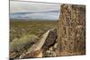 New Mexico, Three Rivers Petroglyphs National Historic Site. Petroglyphs on Boulder-Jaynes Gallery-Mounted Photographic Print