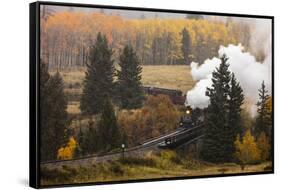New Mexico, USA - Cumbres & Toltec Scenic Steam Train, from Chama, New Mexico to Antonito, Color...-Panoramic Images-Framed Stretched Canvas