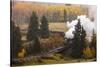 New Mexico, USA - Cumbres & Toltec Scenic Steam Train, from Chama, New Mexico to Antonito, Color...-Panoramic Images-Stretched Canvas