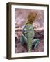 New Mexico, USA-Judith Haden-Framed Photographic Print