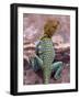 New Mexico, USA-Judith Haden-Framed Photographic Print