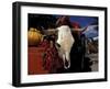 New Mexico, USA-Judith Haden-Framed Photographic Print