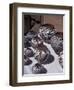 New Mexico, USA-Judith Haden-Framed Photographic Print