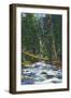 New Mexico, View of a Mountain Stream in the Southwest-Lantern Press-Framed Art Print