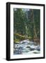 New Mexico, View of a Mountain Stream in the Southwest-Lantern Press-Framed Art Print