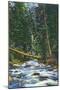 New Mexico, View of a Mountain Stream in the Southwest-Lantern Press-Mounted Art Print