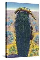 New Mexico - View of Gila Monsters on Cactus-Lantern Press-Stretched Canvas