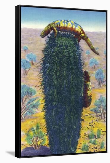 New Mexico - View of Gila Monsters on Cactus-Lantern Press-Framed Stretched Canvas