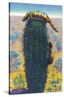 New Mexico - View of Gila Monsters on Cactus-Lantern Press-Stretched Canvas