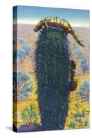 New Mexico - View of Gila Monsters on Cactus-Lantern Press-Stretched Canvas