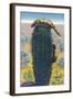 New Mexico - View of Gila Monsters on Cactus-Lantern Press-Framed Art Print