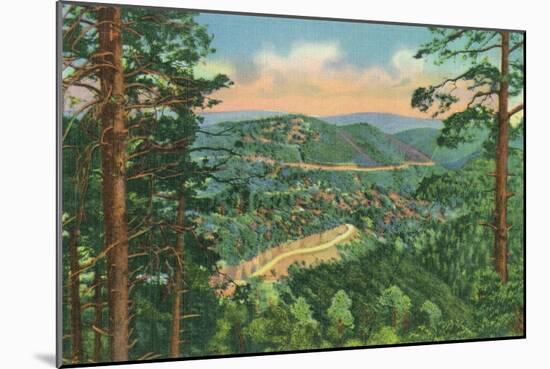 New Mexico, View of the Black Range Hwy between Hot Springs and Silver City-Lantern Press-Mounted Art Print