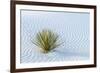 New Mexico, White Sands National Monument. Close-Up of Yucca and Sand Ripples-Jaynes Gallery-Framed Photographic Print