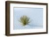 New Mexico, White Sands National Monument. Close-Up of Yucca and Sand Ripples-Jaynes Gallery-Framed Photographic Print