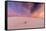 New Mexico, White Sands National Monument. Sunrise on Desert Sand-Jaynes Gallery-Framed Stretched Canvas