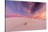 New Mexico, White Sands National Monument. Sunrise on Desert Sand-Jaynes Gallery-Stretched Canvas