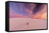 New Mexico, White Sands National Monument. Sunrise on Desert Sand-Jaynes Gallery-Framed Stretched Canvas