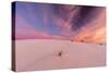 New Mexico, White Sands National Monument. Sunrise on Desert Sand-Jaynes Gallery-Stretched Canvas