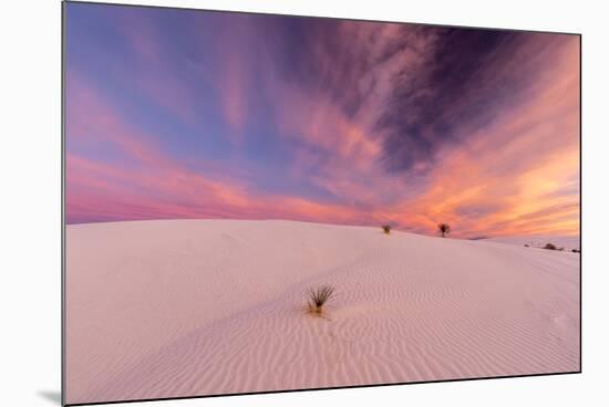 New Mexico, White Sands National Monument. Sunrise on Desert Sand-Jaynes Gallery-Mounted Photographic Print