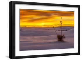 New Mexico, White Sands National Monument. Sunset on Desert and Yucca-Jaynes Gallery-Framed Photographic Print