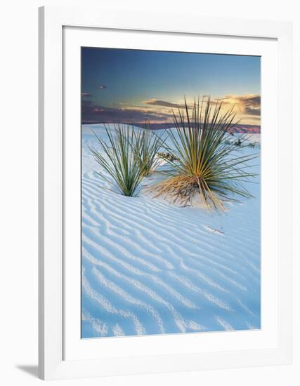 New Mexico-Cassaigne-Framed Art Print