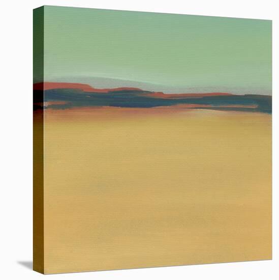 New Mexico-Michelle Abrams-Stretched Canvas