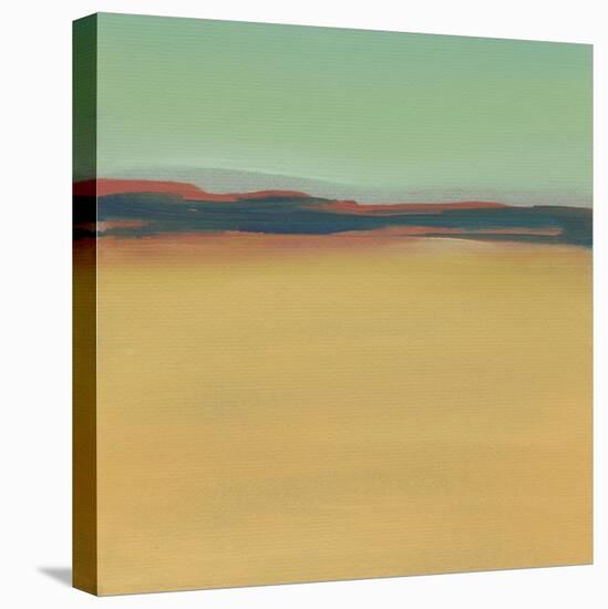 New Mexico-Michelle Abrams-Stretched Canvas