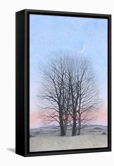 New Moon, 2011-Ann Brain-Framed Stretched Canvas