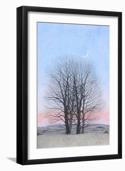 New Moon, 2011-Ann Brain-Framed Giclee Print