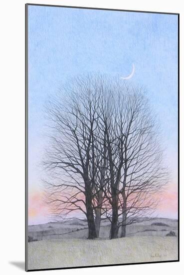 New Moon, 2011-Ann Brain-Mounted Giclee Print