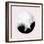 New Moon I Blush Version-PI Studio-Framed Art Print