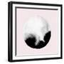 New Moon I Blush Version-PI Studio-Framed Art Print