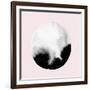 New Moon I Blush Version-PI Studio-Framed Art Print