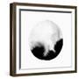 New Moon I-PI Studio-Framed Art Print