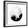 New Moon I-PI Studio-Framed Art Print