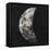 New Moon I-Sydney Edmunds-Framed Stretched Canvas