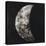 New Moon I-Sydney Edmunds-Stretched Canvas