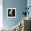 New Moon I-Sydney Edmunds-Framed Giclee Print displayed on a wall