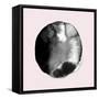 New Moon II Blush Version-PI Studio-Framed Stretched Canvas