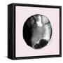 New Moon II Blush Version-PI Studio-Framed Stretched Canvas