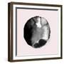 New Moon II Blush Version-PI Studio-Framed Art Print