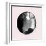 New Moon II Blush Version-PI Studio-Framed Art Print