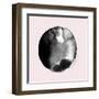 New Moon II Blush Version-PI Studio-Framed Art Print