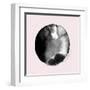 New Moon II Blush Version-PI Studio-Framed Art Print