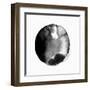 New Moon II-PI Studio-Framed Art Print