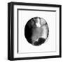 New Moon II-PI Studio-Framed Art Print