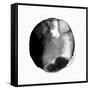 New Moon II-PI Studio-Framed Stretched Canvas