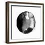 New Moon II-PI Studio-Framed Art Print