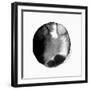 New Moon II-PI Studio-Framed Art Print